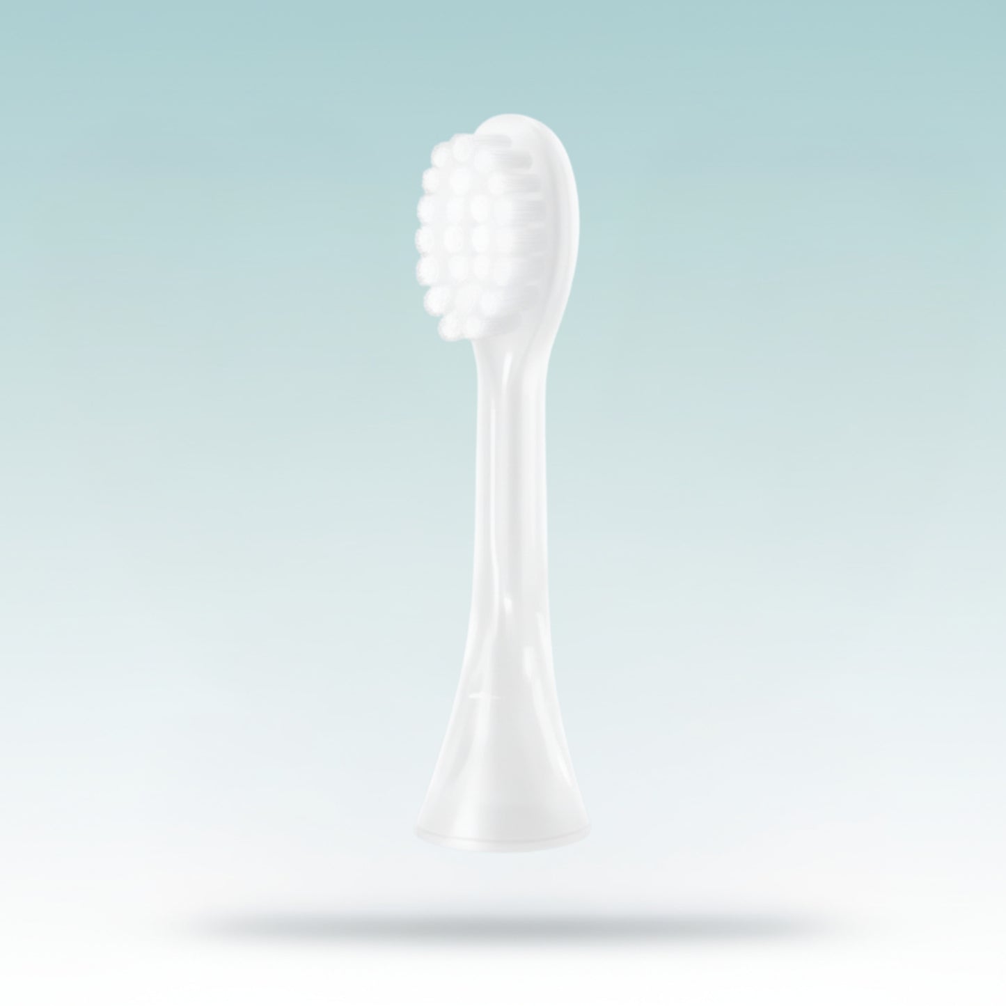 Brush Attachment