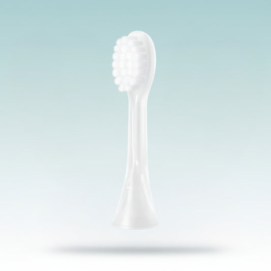 Brush Attachment